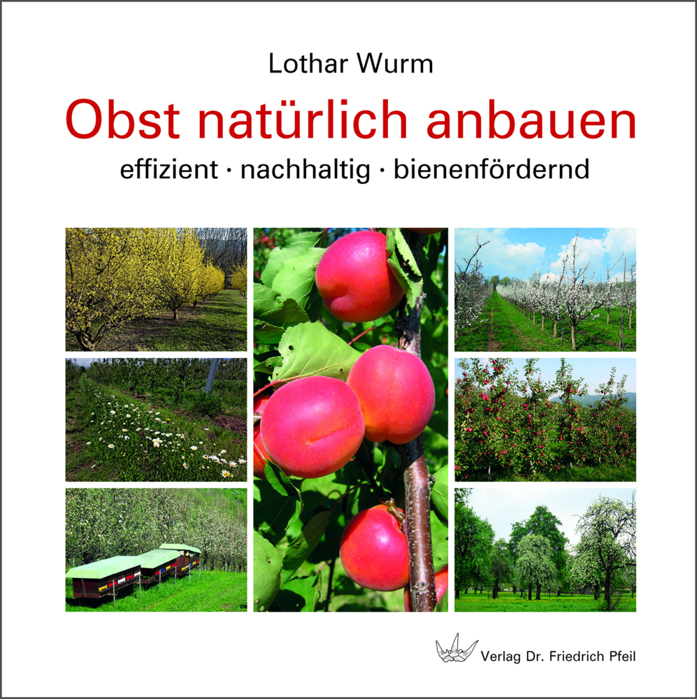 Cover: 9783899372779 | Obst natürlich anbauen | effizient · nachhaltig · bienenfördernd