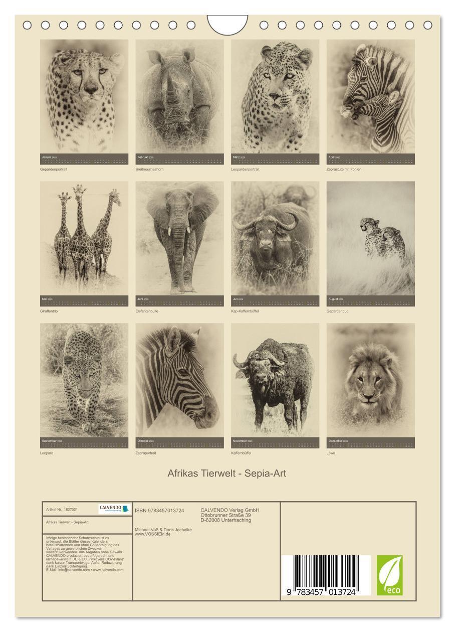 Bild: 9783457013724 | Afrikas Tierwelt - Sepia-Art (Wandkalender 2025 DIN A4 hoch),...