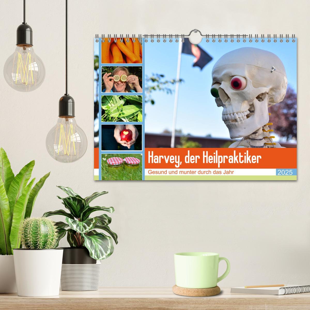 Bild: 9783435279005 | Harvey, der Heilpraktiker (Wandkalender 2025 DIN A4 quer), CALVENDO...