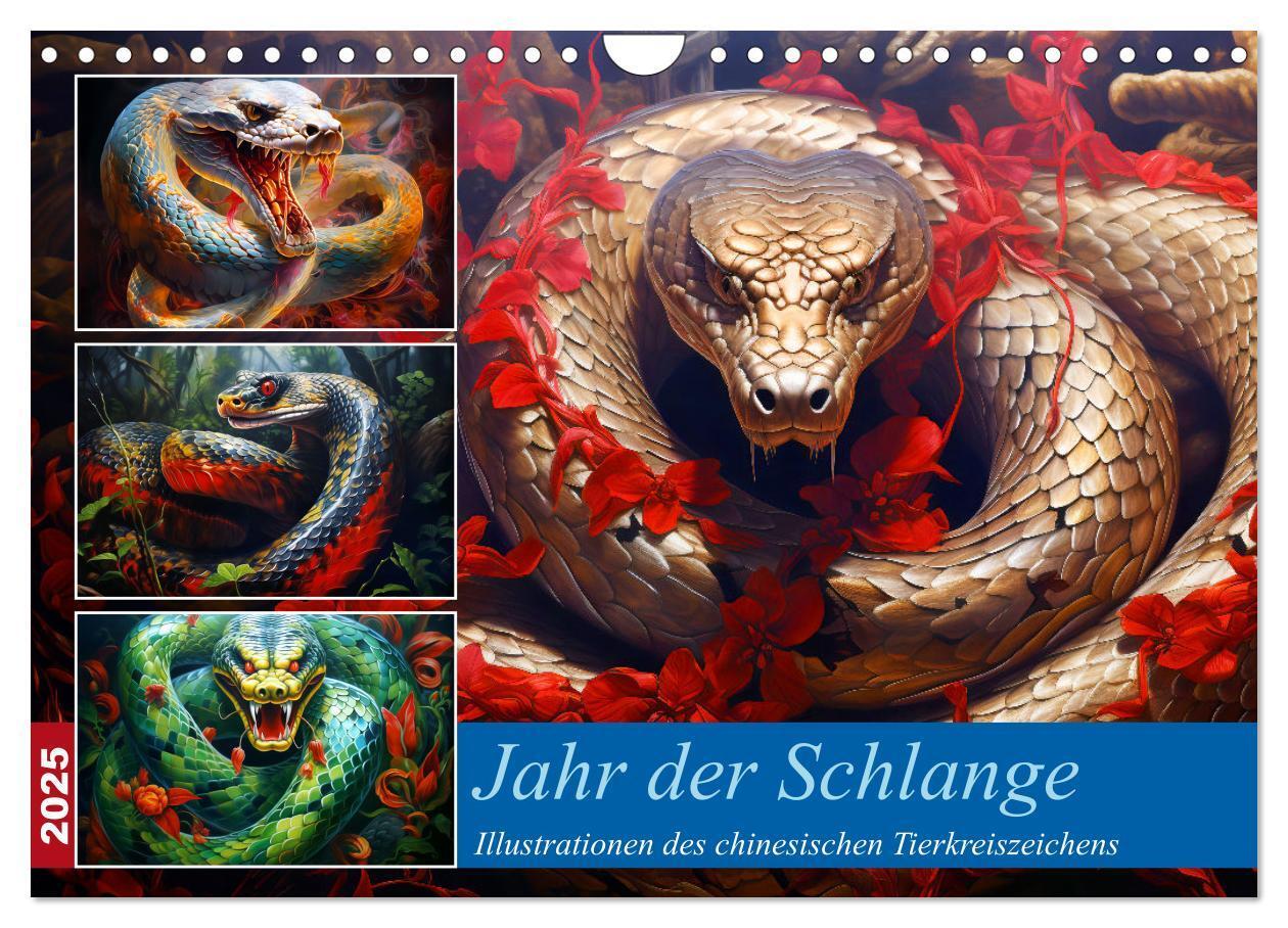 Cover: 9783383763878 | Jahr der Schlange - Illustrationen des chinesischen...