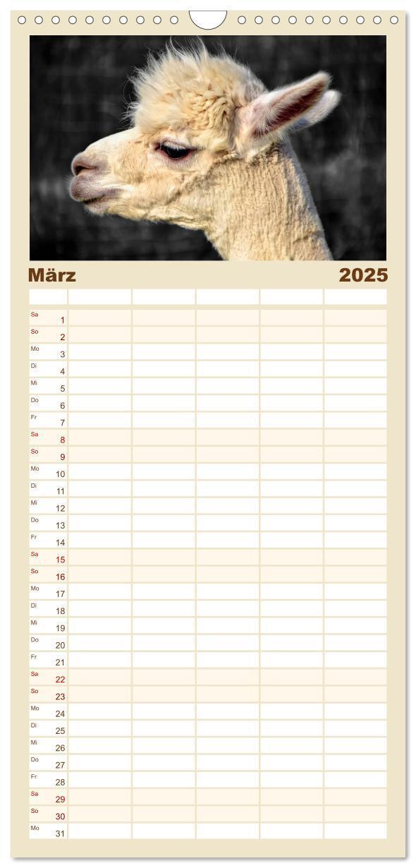 Bild: 9783457116159 | Familienplaner 2025 - Alpaka Gesichter mit 5 Spalten (Wandkalender,...