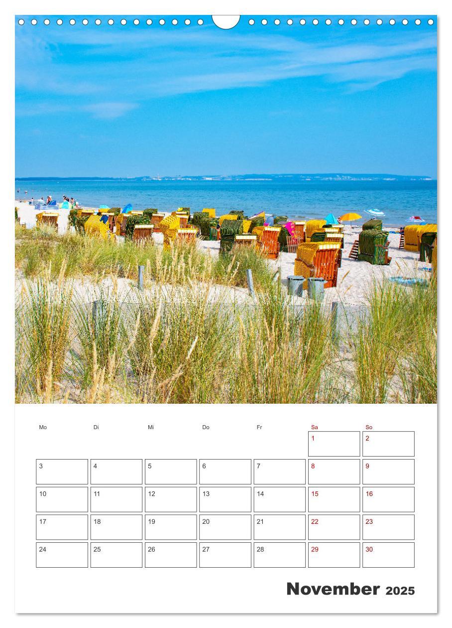 Bild: 9783435917563 | Rügen - Terminplaner (Wandkalender 2025 DIN A3 hoch), CALVENDO...