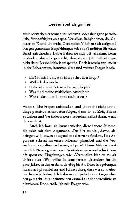 Bild: 9783990604137 | Arbeite mit Sinn! Auf dem Weg zum erfüllten Beruf | Sacha Johann