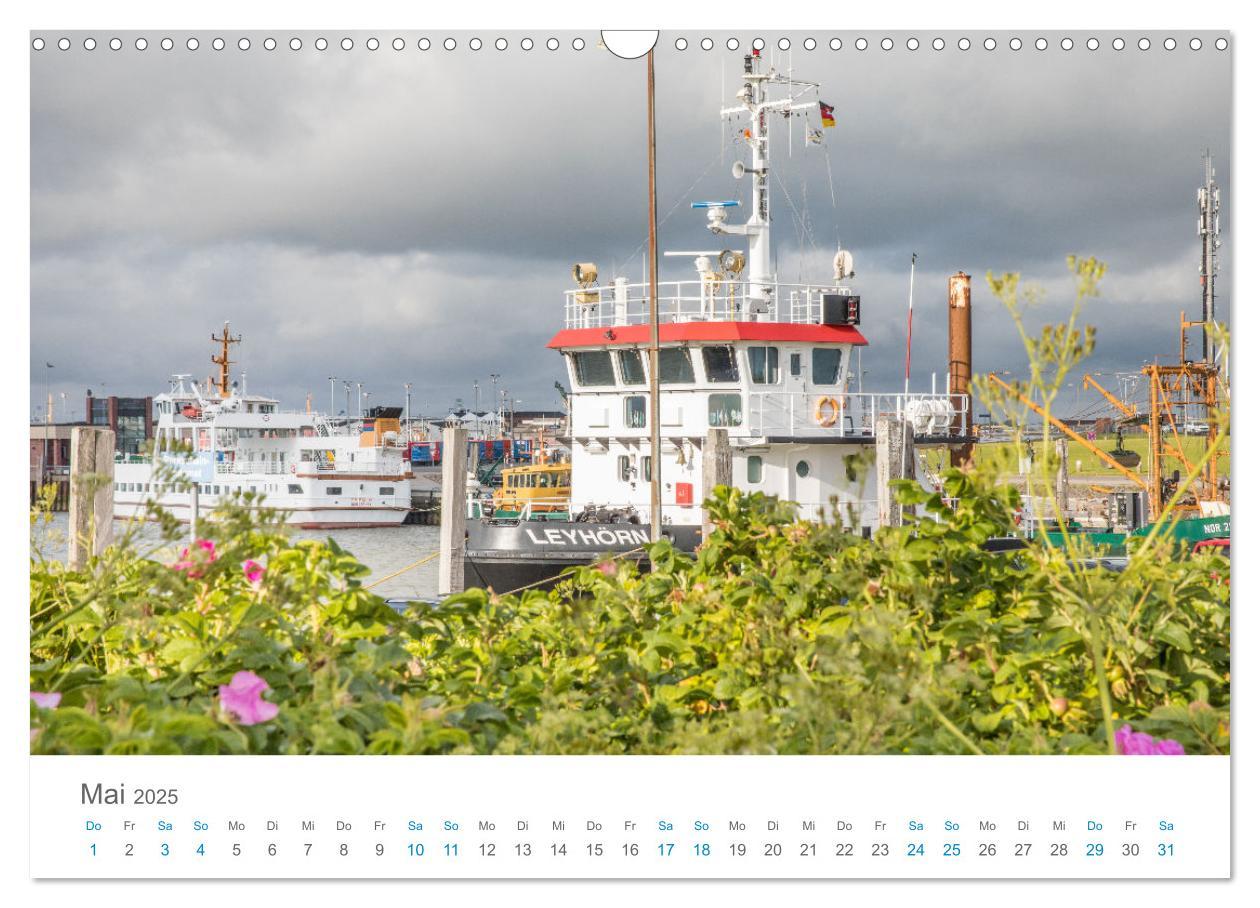 Bild: 9783435071548 | Moin Norden-Norddeich (Wandkalender 2025 DIN A3 quer), CALVENDO...