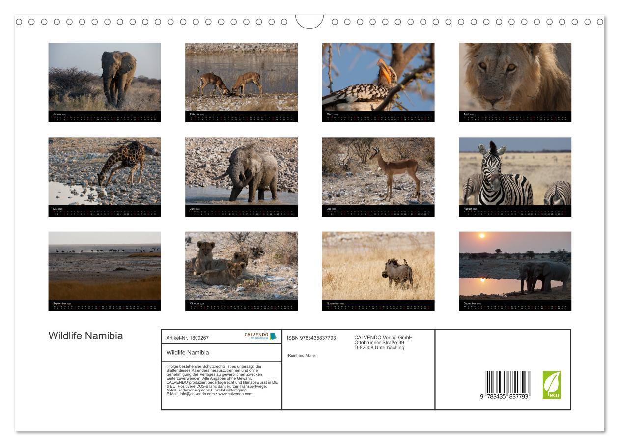 Bild: 9783435837793 | Wildlife Namibia (Wandkalender 2025 DIN A3 quer), CALVENDO...