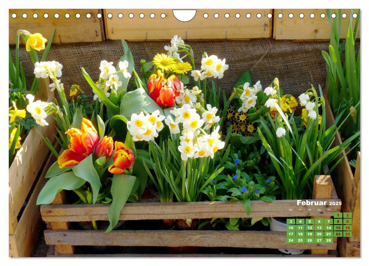 Bild: 9783383989384 | Urlaub im Garten (Wandkalender 2025 DIN A4 quer), CALVENDO...