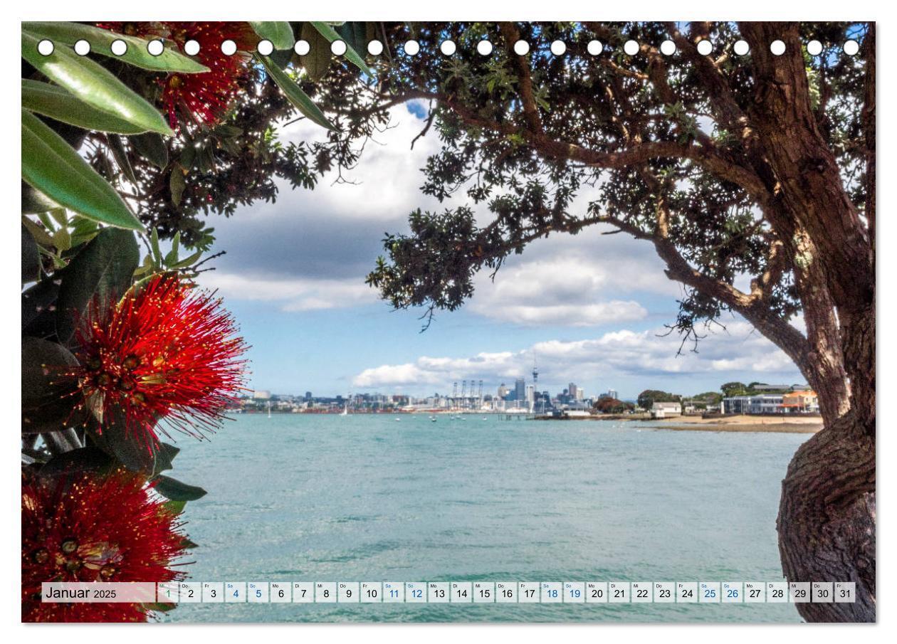 Bild: 9783435281503 | Wandkalender Auckland 2025 DIN A4 Quer (Tischkalender 2025 DIN A5...