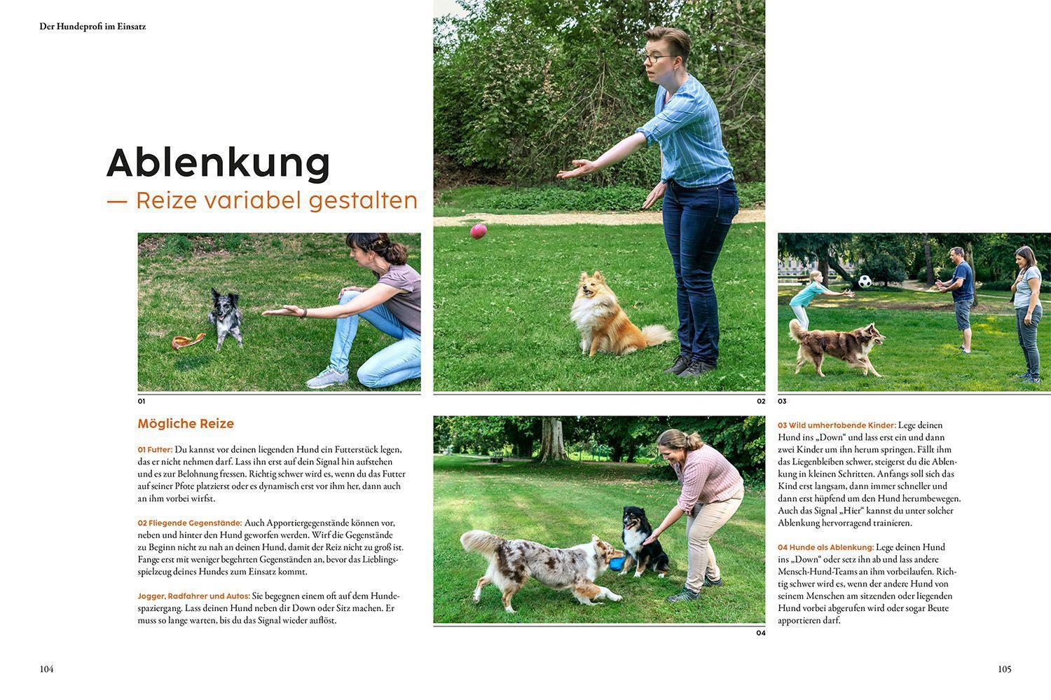 Bild: 9783440174586 | Hundetraining mit Martin Rütter | Martin Rütter (u. a.) | Buch | 2022