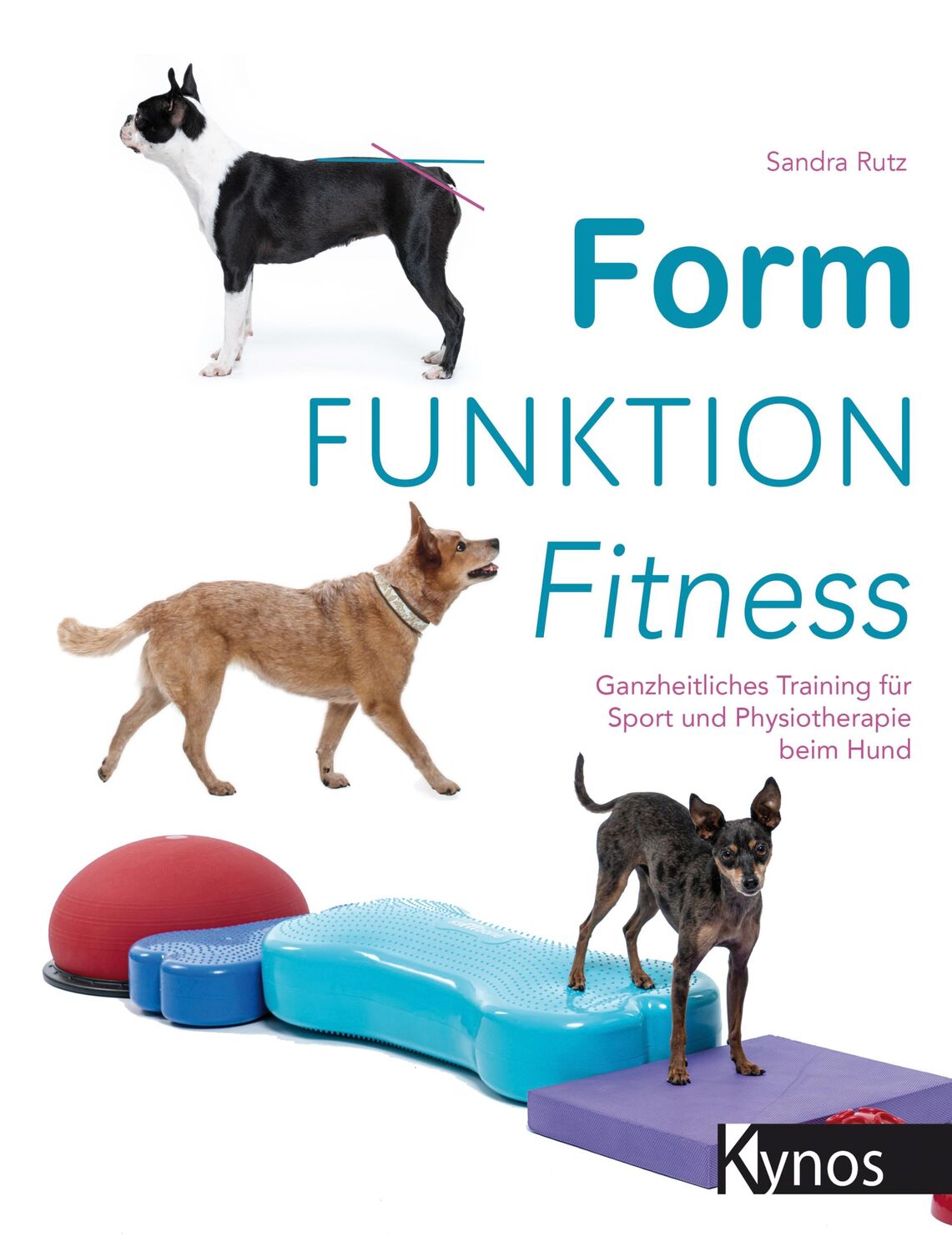 Cover: 9783954642205 | Form Funktion Fitness | Sandra Rutz | Taschenbuch | 316 S. | Deutsch