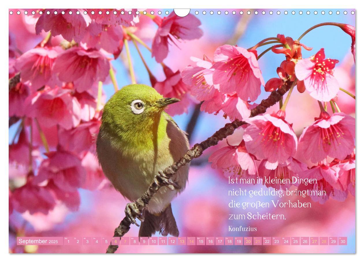 Bild: 9783383885198 | Natur-Meditationen - Nimm Dir Zeit (Wandkalender 2025 DIN A3 quer),...