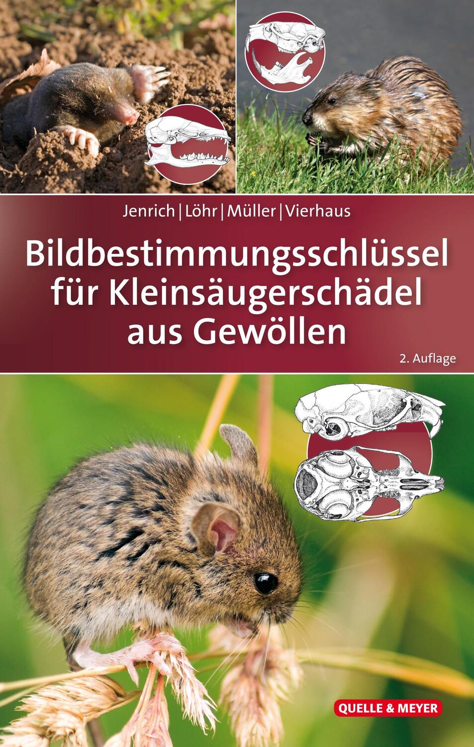 Cover: 9783494017273 | Bildbestimmungsschlüssel für Kleinsäugerschädel aus Gewöllen | Buch