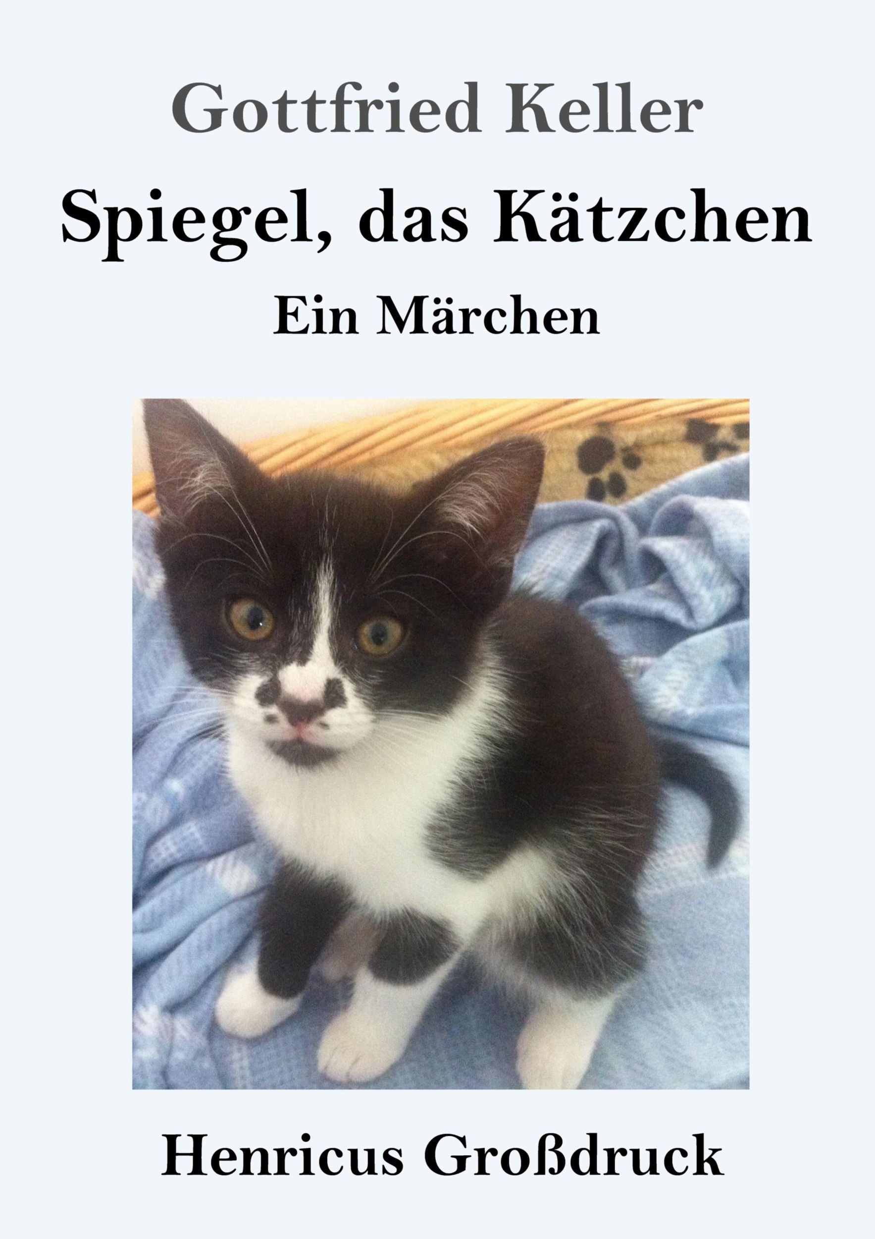 Cover: 9783847843306 | Spiegel, das Kätzchen (Großdruck) | Ein Märchen | Gottfried Keller