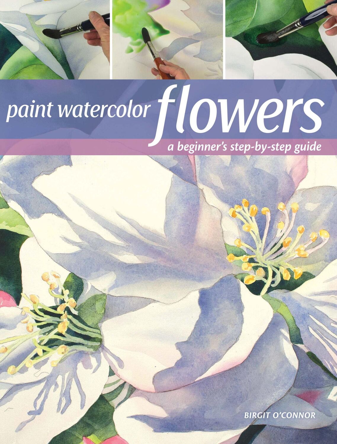 Cover: 9781440349966 | Paint Watercolor Flowers | A Beginner's Step-by-Step Guide | O'Connor