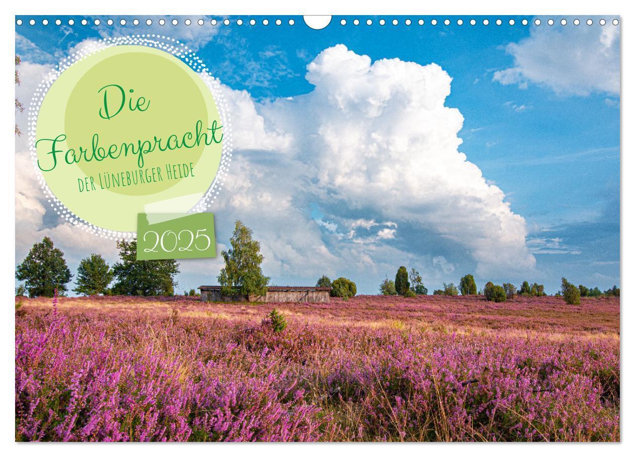 Cover: 9783383984143 | Die Farbenpracht der Lüneburger Heide (Wandkalender 2025 DIN A3...