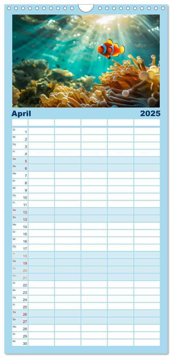 Bild: 9783457191538 | Familienplaner 2025 - Exotische Fische mit 5 Spalten (Wandkalender,...