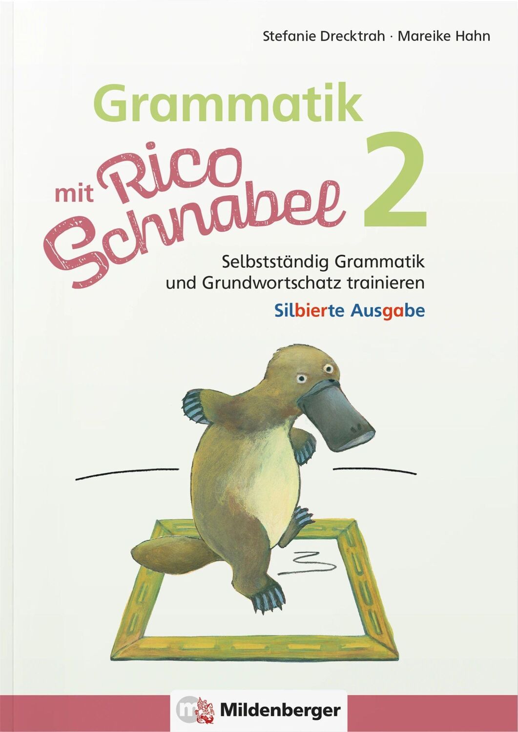 Cover: 9783619220441 | Grammatik mit Rico Schnabel, Klasse 2 - silbierte Ausgabe | Broschüre