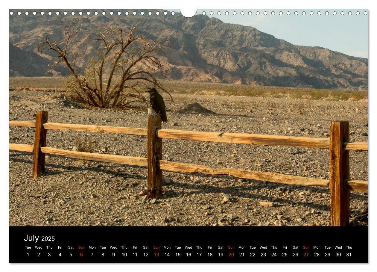 Bild: 9781325959617 | Death Valley California (Wall Calendar 2025 DIN A3 landscape),...