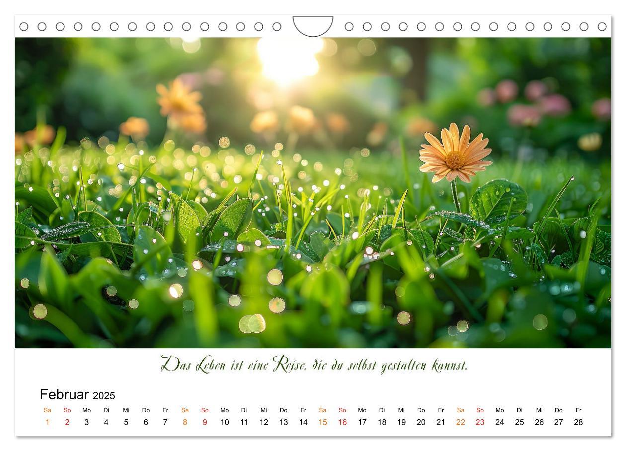 Bild: 9783383814556 | Freu Dich Motivations-Kalender (Wandkalender 2025 DIN A4 quer),...