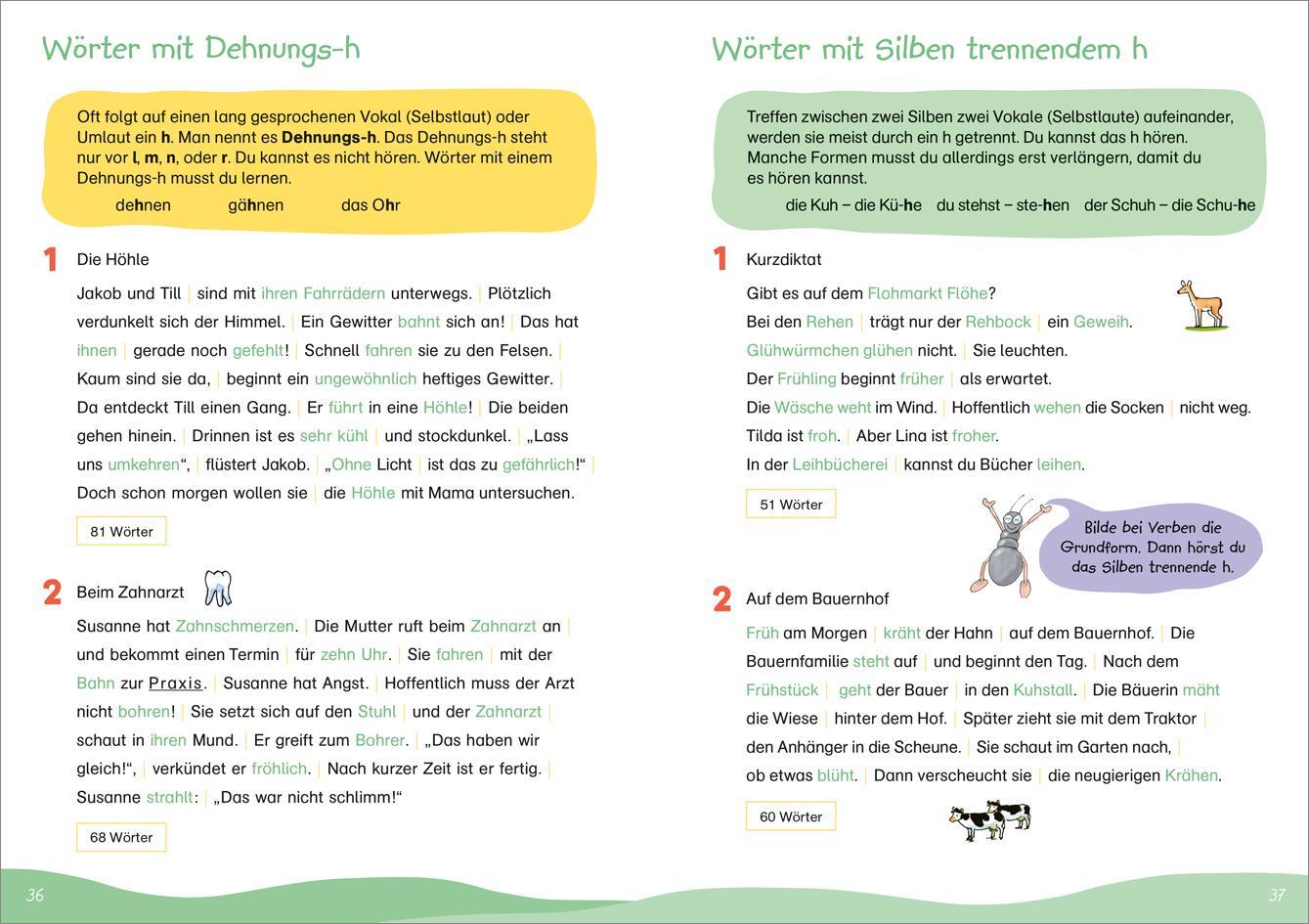 Bild: 9783788624767 | Fit für Diktate 3. Klasse. Mein Übungsheft | Andrea Weller-Essers