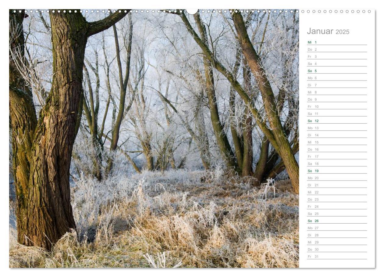 Bild: 9783435541850 | Im Deutschen Wald 2025 - ein Notizkalender (Wandkalender 2025 DIN...