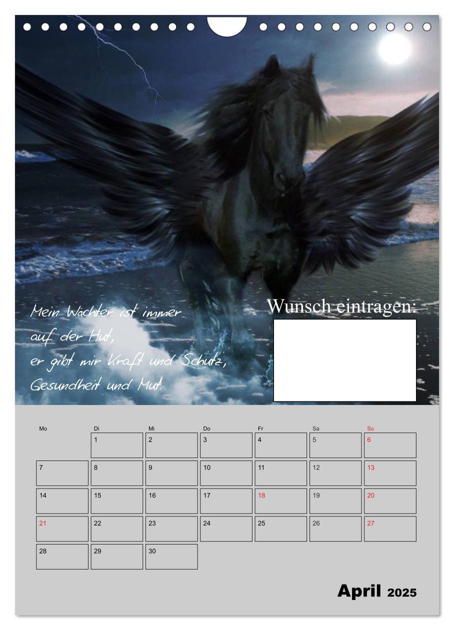 Bild: 9783457018576 | Wunsch- und Zauberkalender (Wandkalender 2025 DIN A4 hoch),...