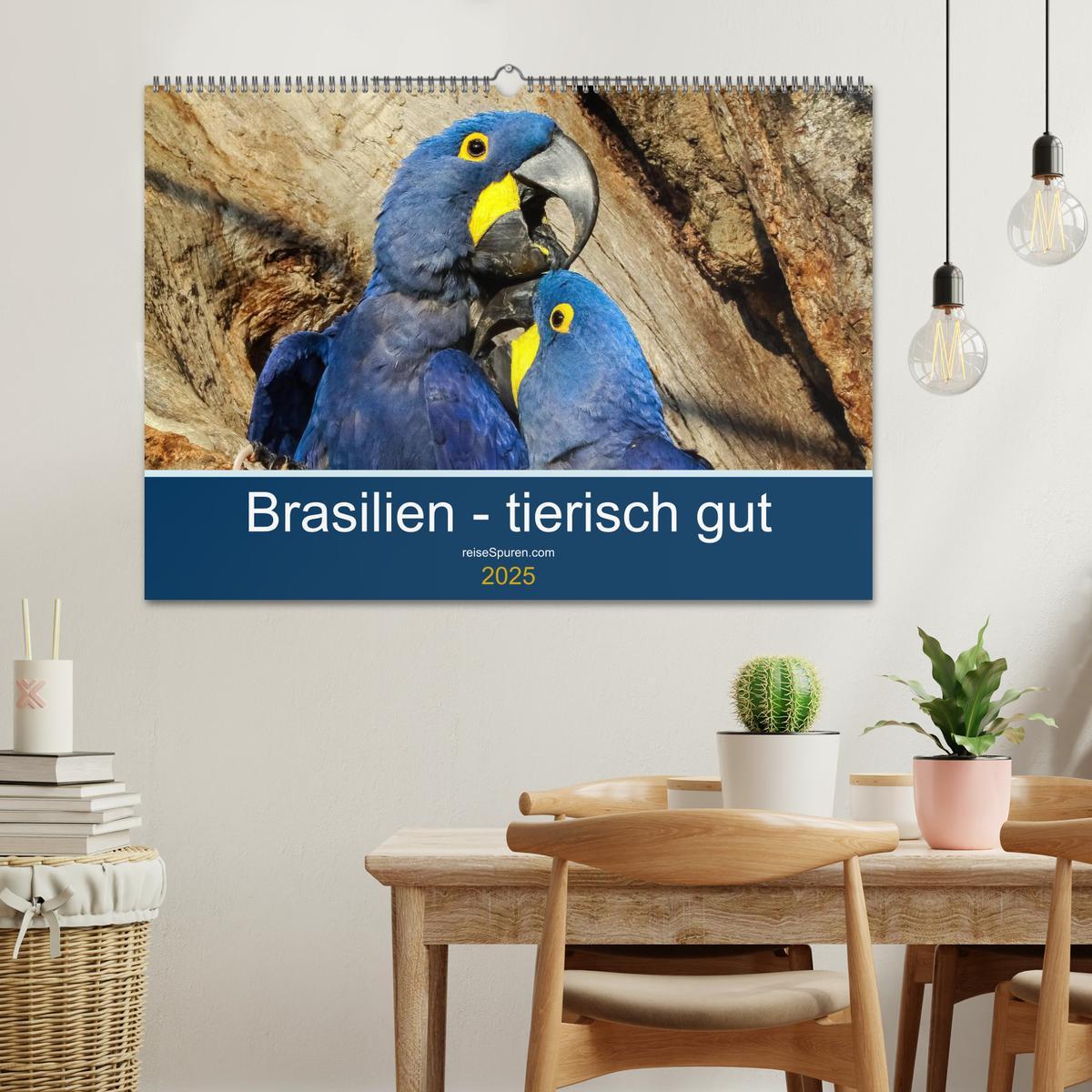 Bild: 9783435686636 | Brasilien tierisch gut 2025 (Wandkalender 2025 DIN A2 quer),...