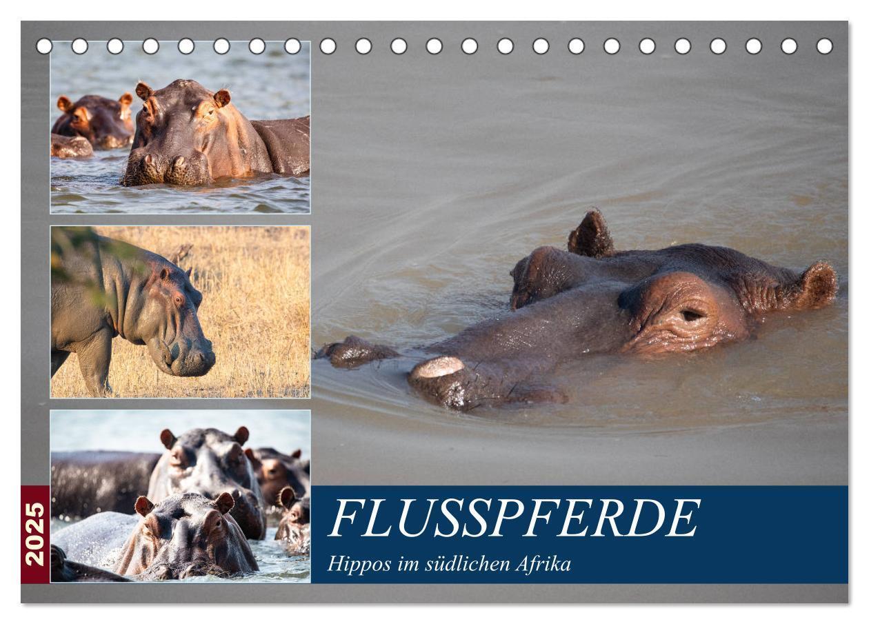 Cover: 9783435298242 | Hippos im südlichen Afrika (Tischkalender 2025 DIN A5 quer),...