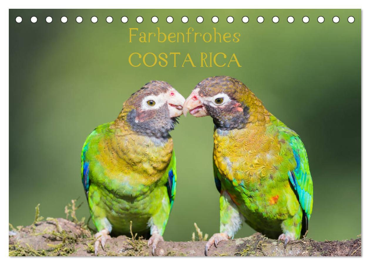 Cover: 9783435348862 | Farbenfrohes Costa Rica (Tischkalender 2025 DIN A5 quer), CALVENDO...