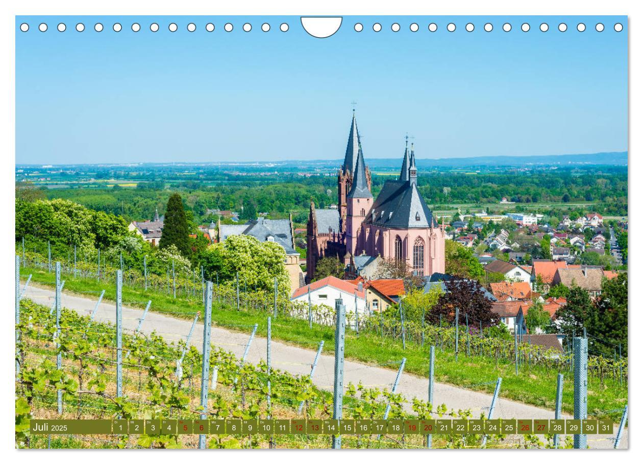 Bild: 9783435389353 | Rheinhessen-Impressionen (Wandkalender 2025 DIN A4 quer), CALVENDO...