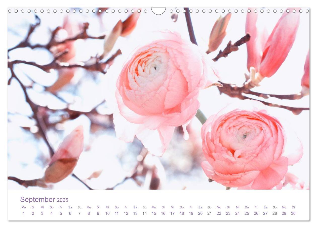 Bild: 9783435810048 | Blumen &amp; Blüten Träume (Wandkalender 2025 DIN A3 quer), CALVENDO...