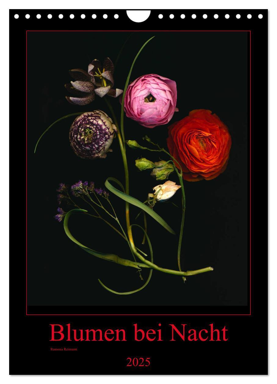 Cover: 9783435937066 | Blumen bei Nacht (Wandkalender 2025 DIN A4 hoch), CALVENDO...