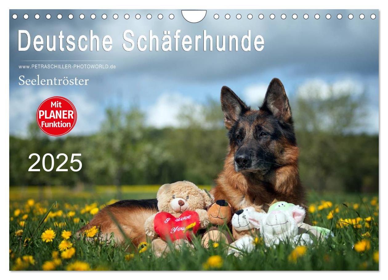 Cover: 9783435474035 | Deutsche Schäferhunde Seelentröster (Wandkalender 2025 DIN A4...