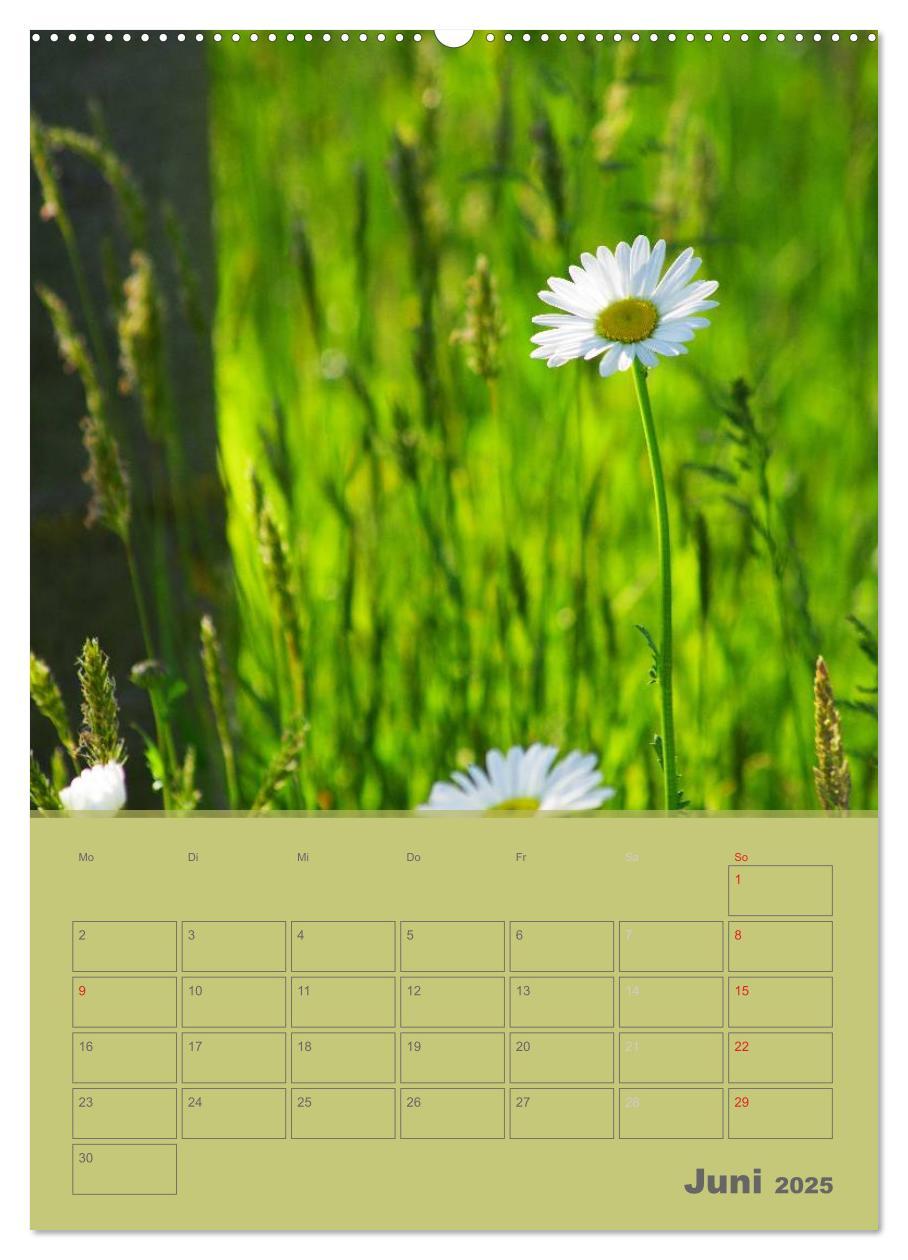 Bild: 9783457087817 | Naturbilder (Wandkalender 2025 DIN A2 hoch), CALVENDO Monatskalender