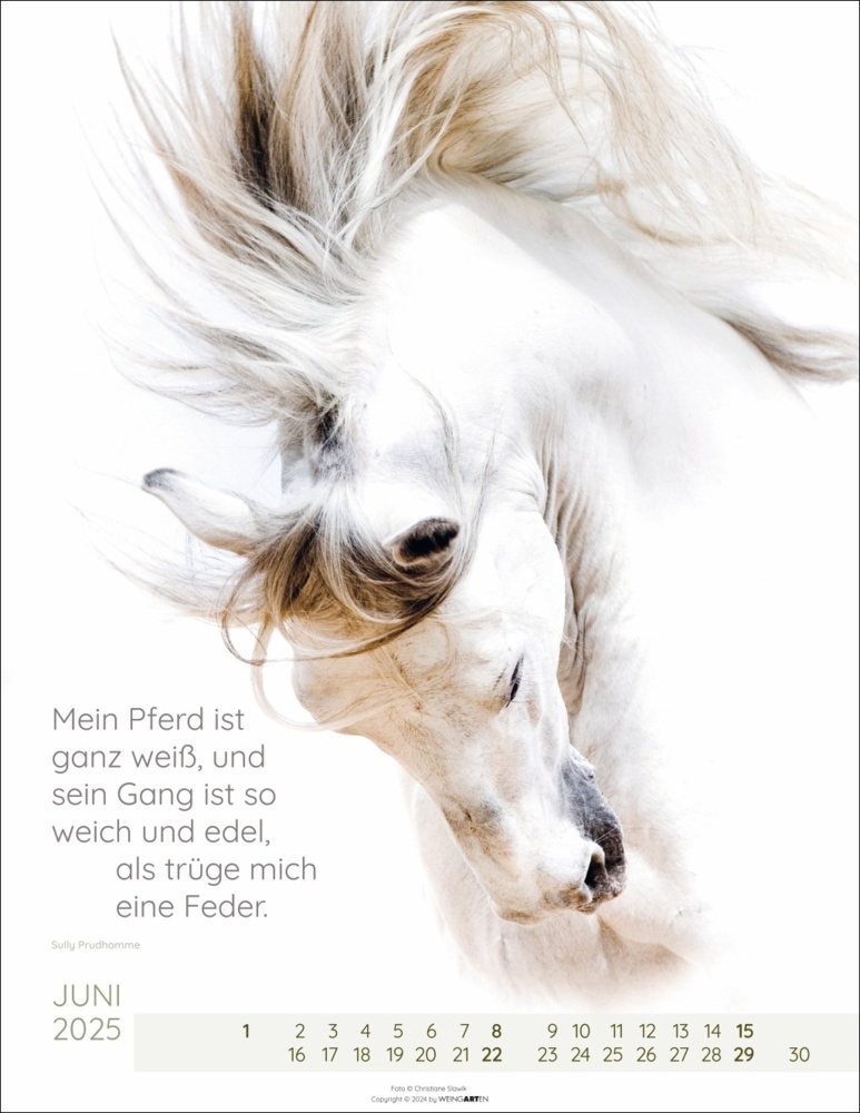 Bild: 9783839901212 | Pferdepoesie Kalender 2025 | Christiane Slawik | Kalender | 14 S.