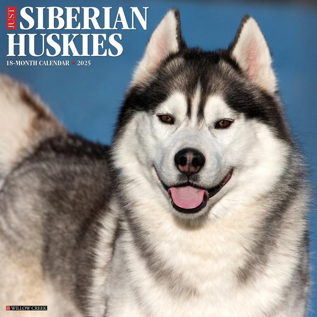 Cover: 9781549244896 | Just Siberian Huskies 2025 12 X 12 Wall Calendar | Willow Creek Press