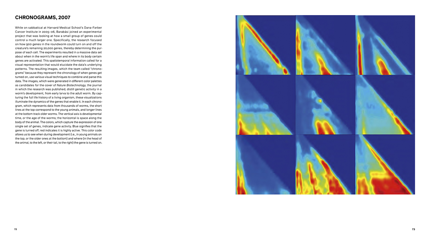 Bild: 9783775748629 | Hidden Patterns | Visualizing Networks at BarabásiLab | Alanna Stang