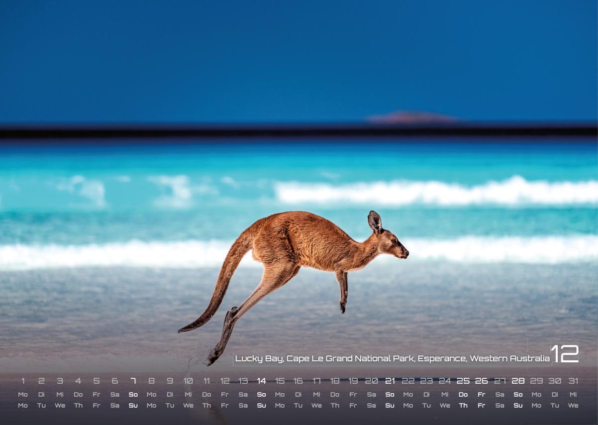 Bild: 9783986733803 | Australien - das Land der Kängurus - 2025 - Kalender DIN A3 | Kalender