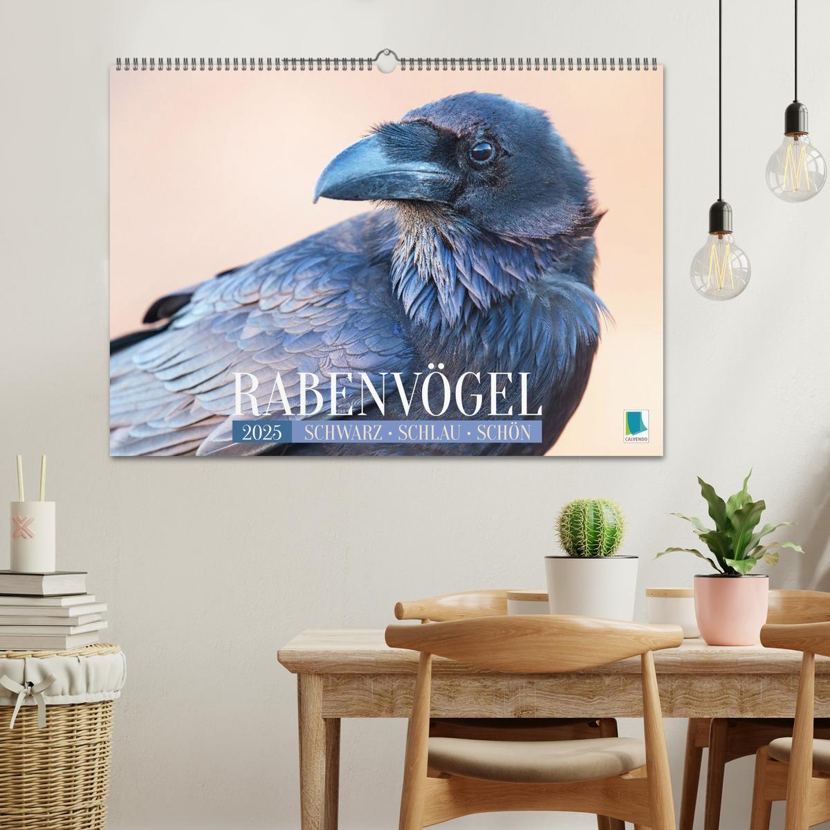 Bild: 9783383776687 | Rabenvögel: Schwarz, schlau, schön (Wandkalender 2025 DIN A2 quer),...