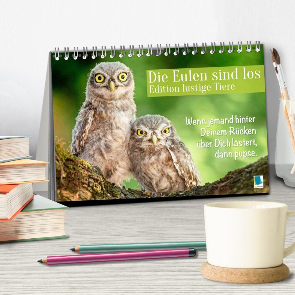 Bild: 9783383687846 | Die Eulen sind los: Edition lustige Tiere (Tischkalender 2024 DIN...