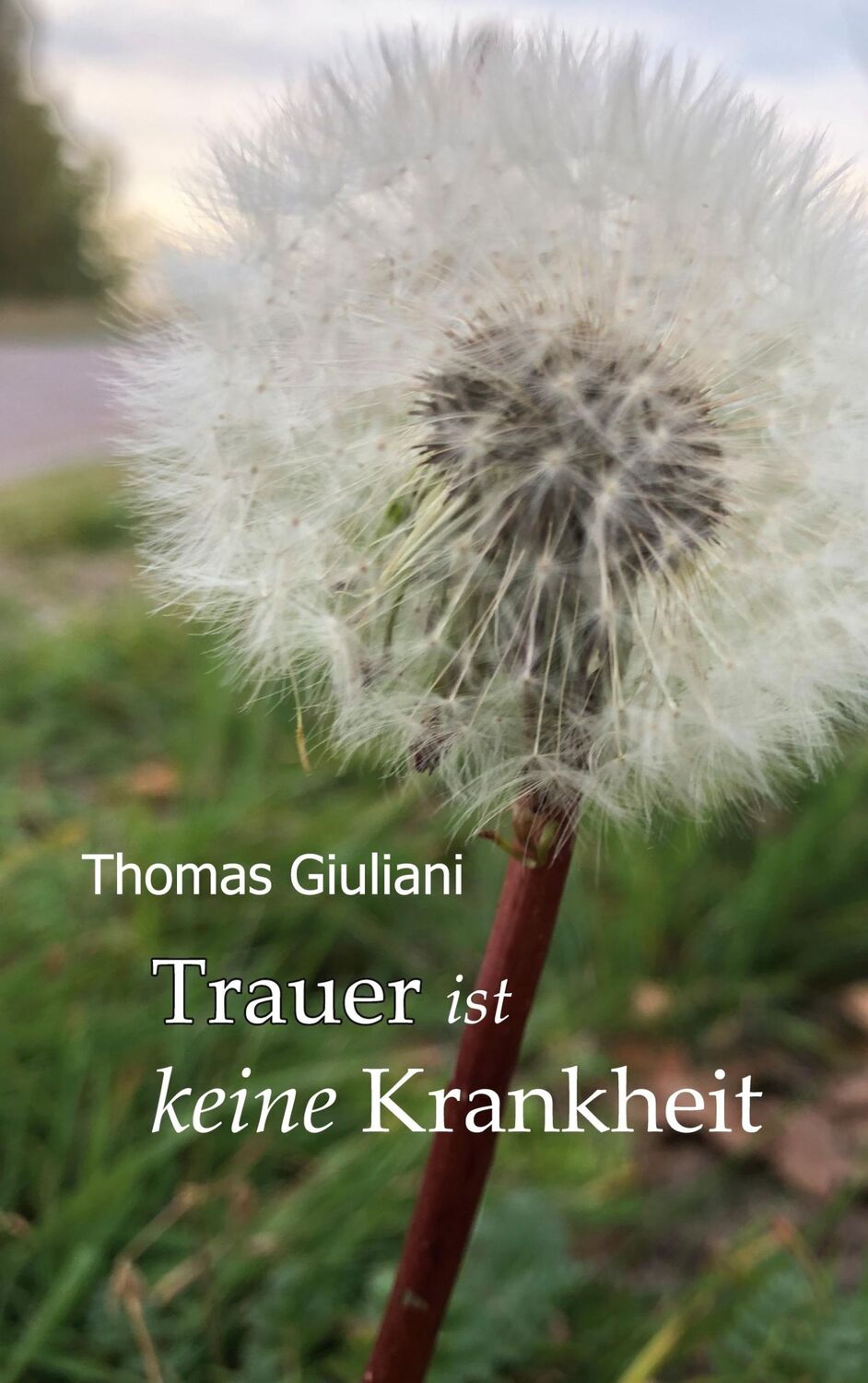 Cover: 9783753496962 | Trauer ist keine Krankheit | Thomas Giuliani | Buch | 120 S. | Deutsch