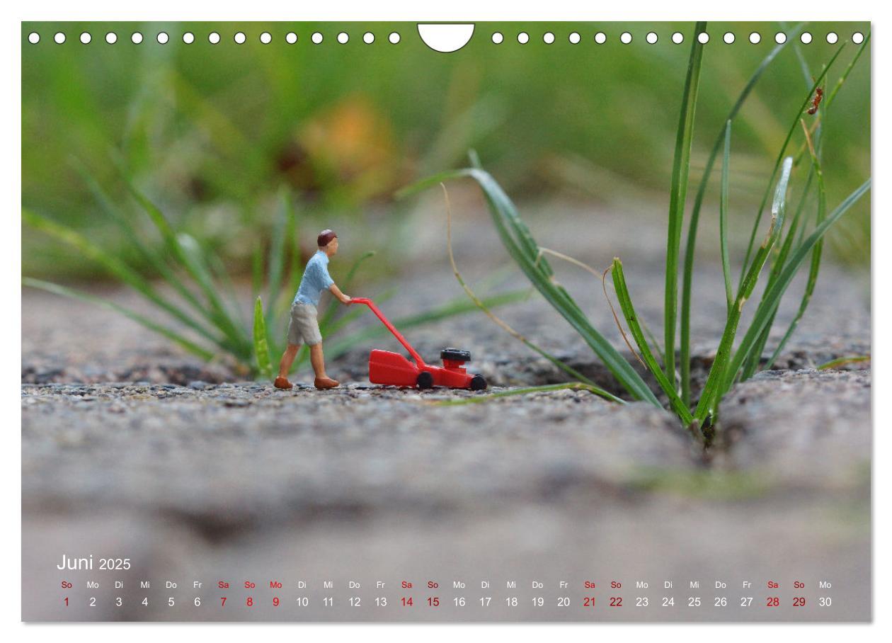 Bild: 9783457224397 | Das geheime Leben von Miniatur-Figuren (Wandkalender 2025 DIN A4...