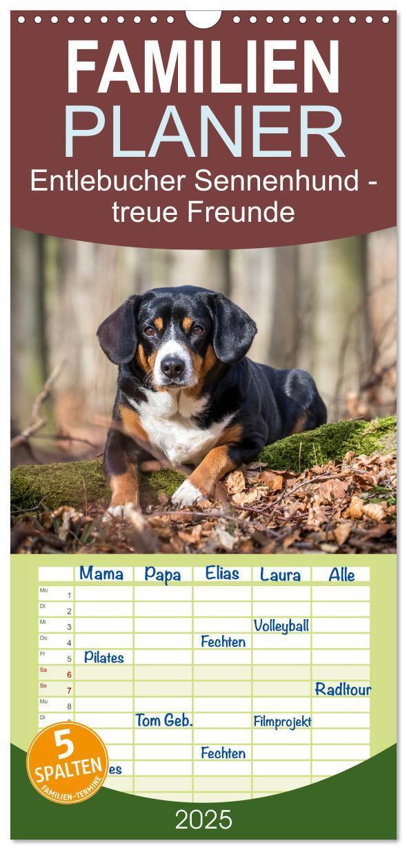 Cover: 9783457114582 | Familienplaner 2025 - Entlebucher Sennenhund - treue Freunde mit 5...