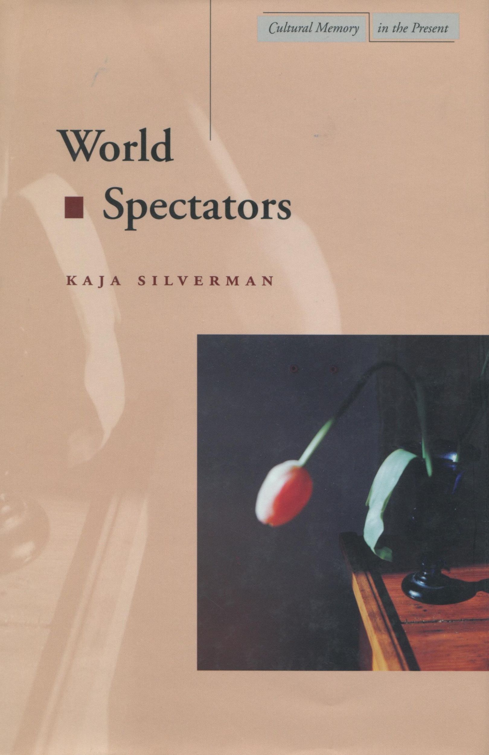 Cover: 9780804738323 | World Spectators | Kaja Silverman | Taschenbuch | Englisch | 2000