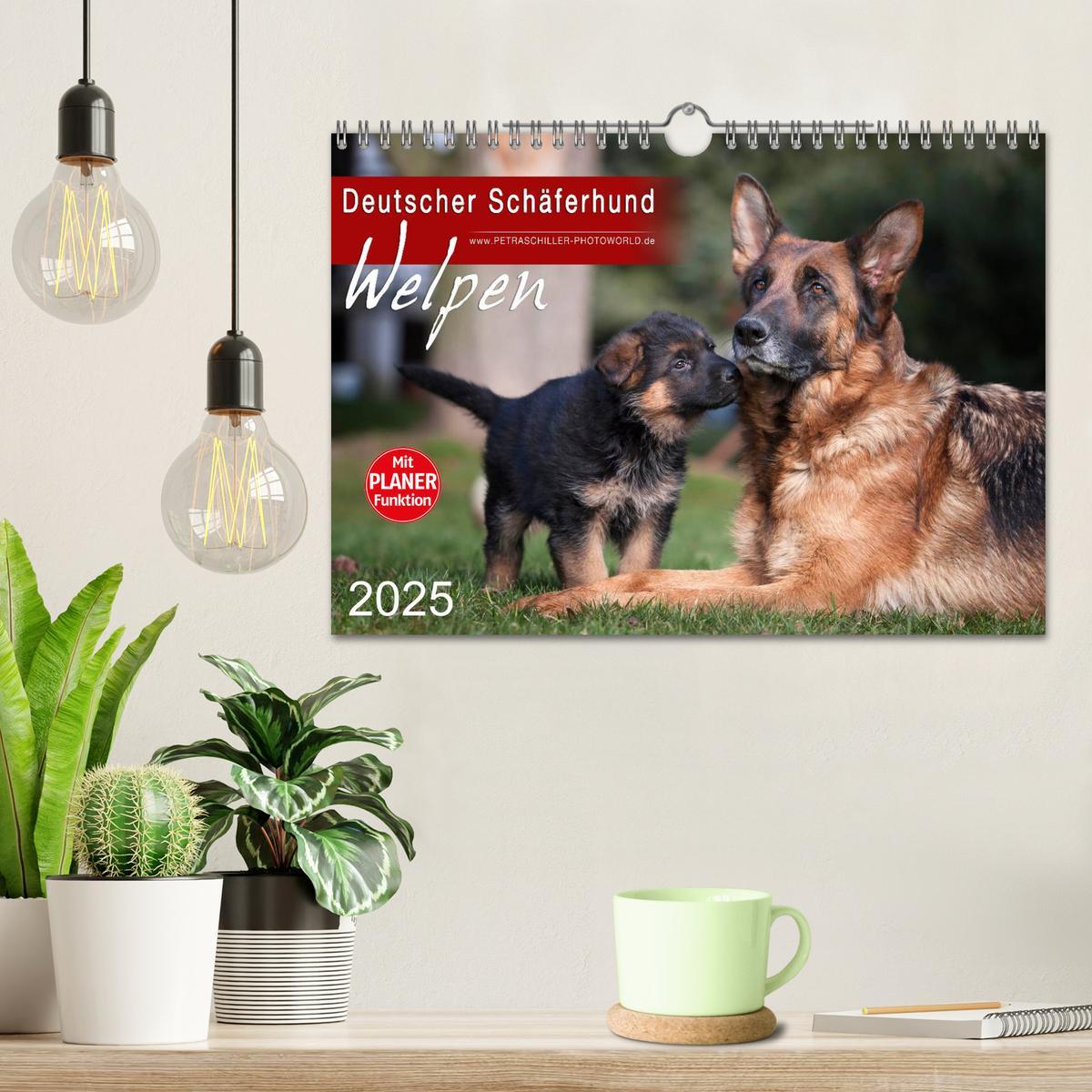 Bild: 9783435474912 | Deutscher Schäferhund - Welpen (Wandkalender 2025 DIN A4 quer),...