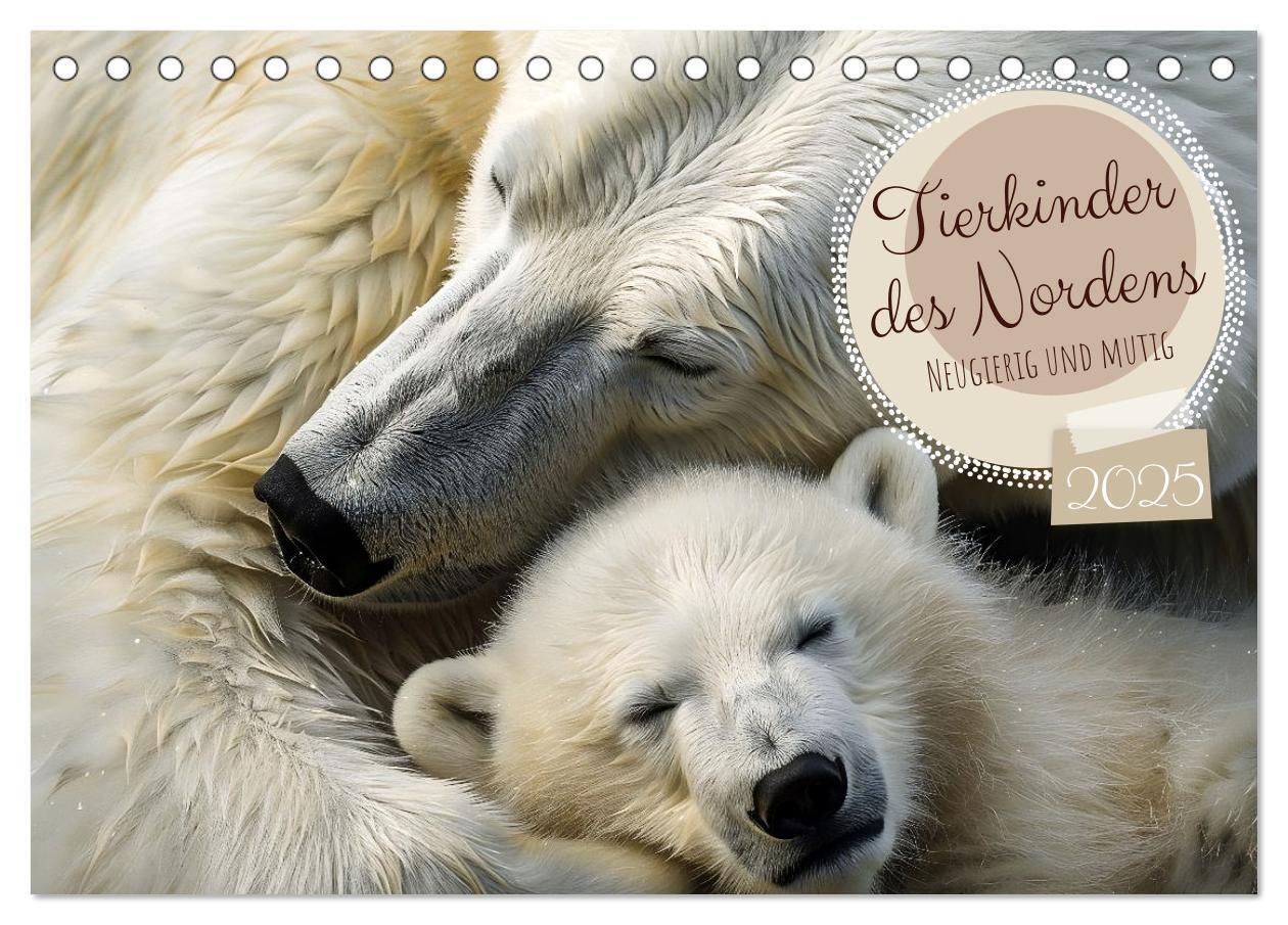 Cover: 9783383789274 | Tierkinder des Nordens (Tischkalender 2025 DIN A5 quer), CALVENDO...