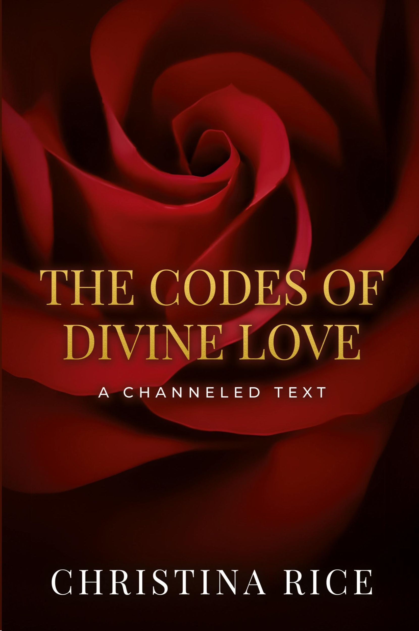 Cover: 9781959513087 | The Codes of Divine Love | Christina Rice | Taschenbuch | Englisch