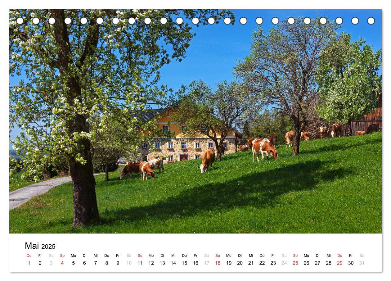 Bild: 9783435307661 | Zauberhaftes Mondseeland (Tischkalender 2025 DIN A5 quer), CALVENDO...