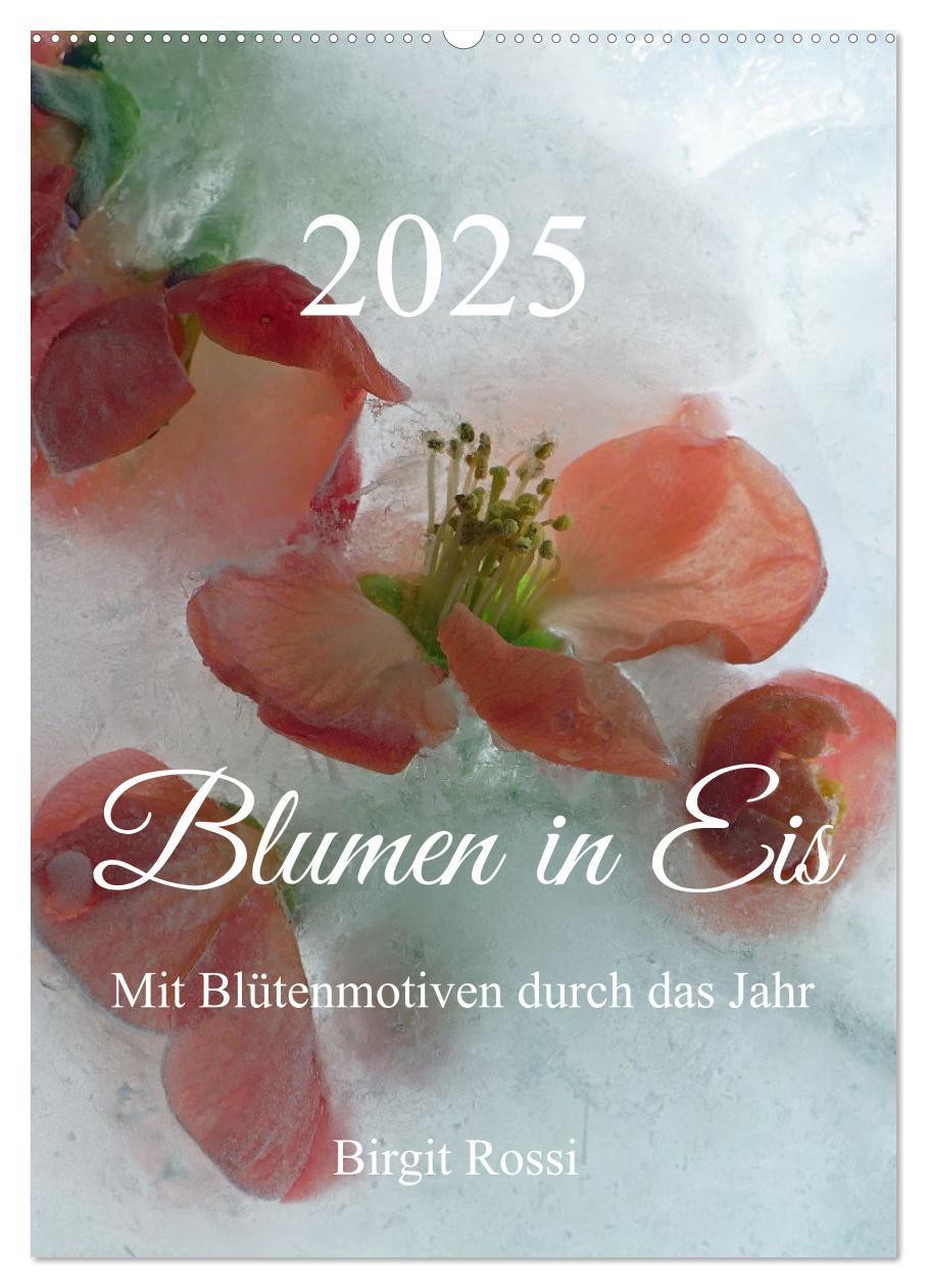 Cover: 9783435918645 | Blumen in Eis (Wandkalender 2025 DIN A2 hoch), CALVENDO Monatskalender