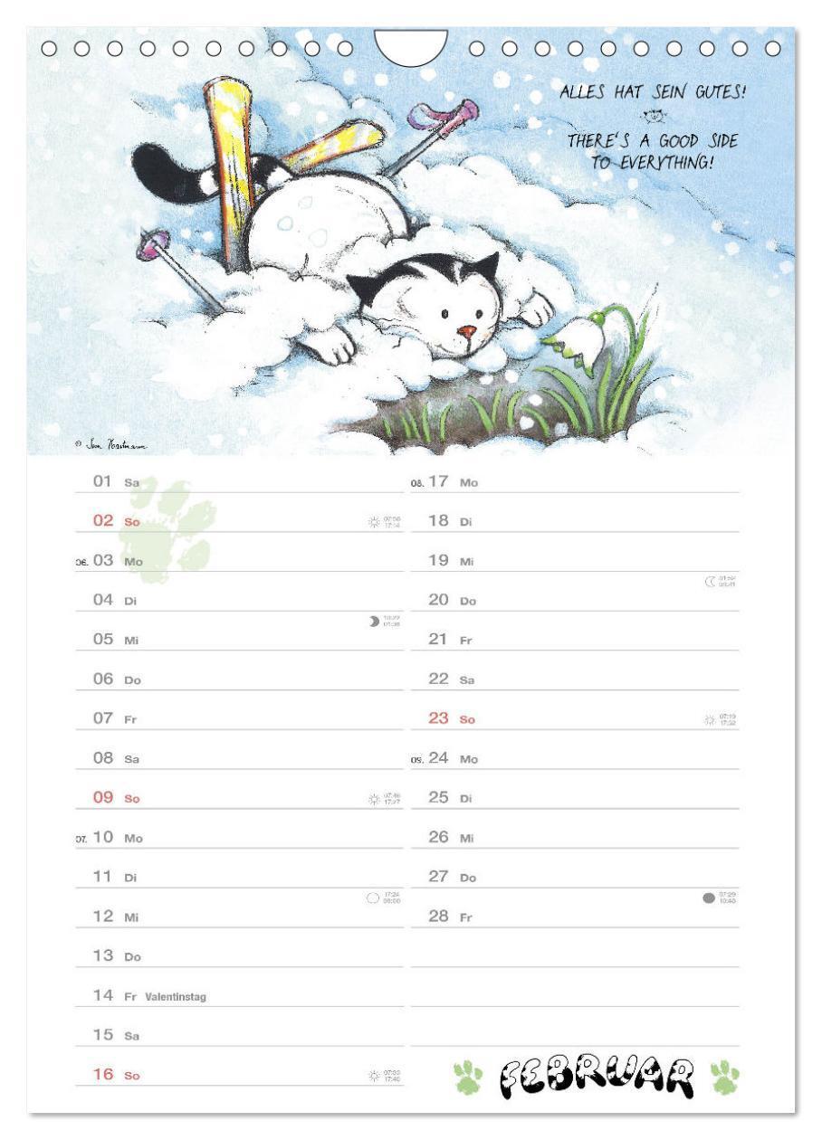 Bild: 9783457187401 | Kater Jacob: kleine Katzenweisheiten (Wandkalender 2025 DIN A4...