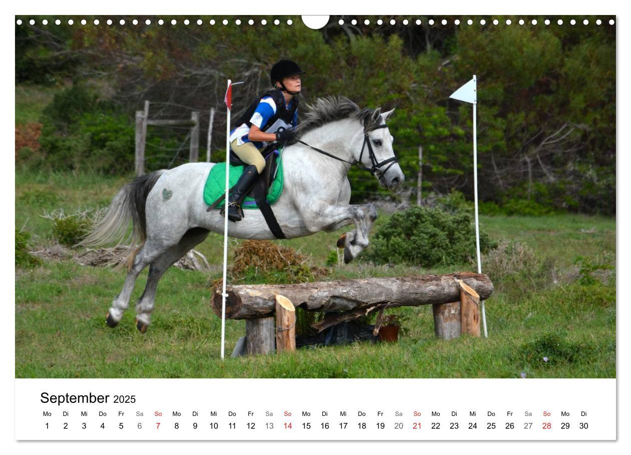 Bild: 9783435618057 | Vielseitigkeitsreiten (Wandkalender 2025 DIN A3 quer), CALVENDO...